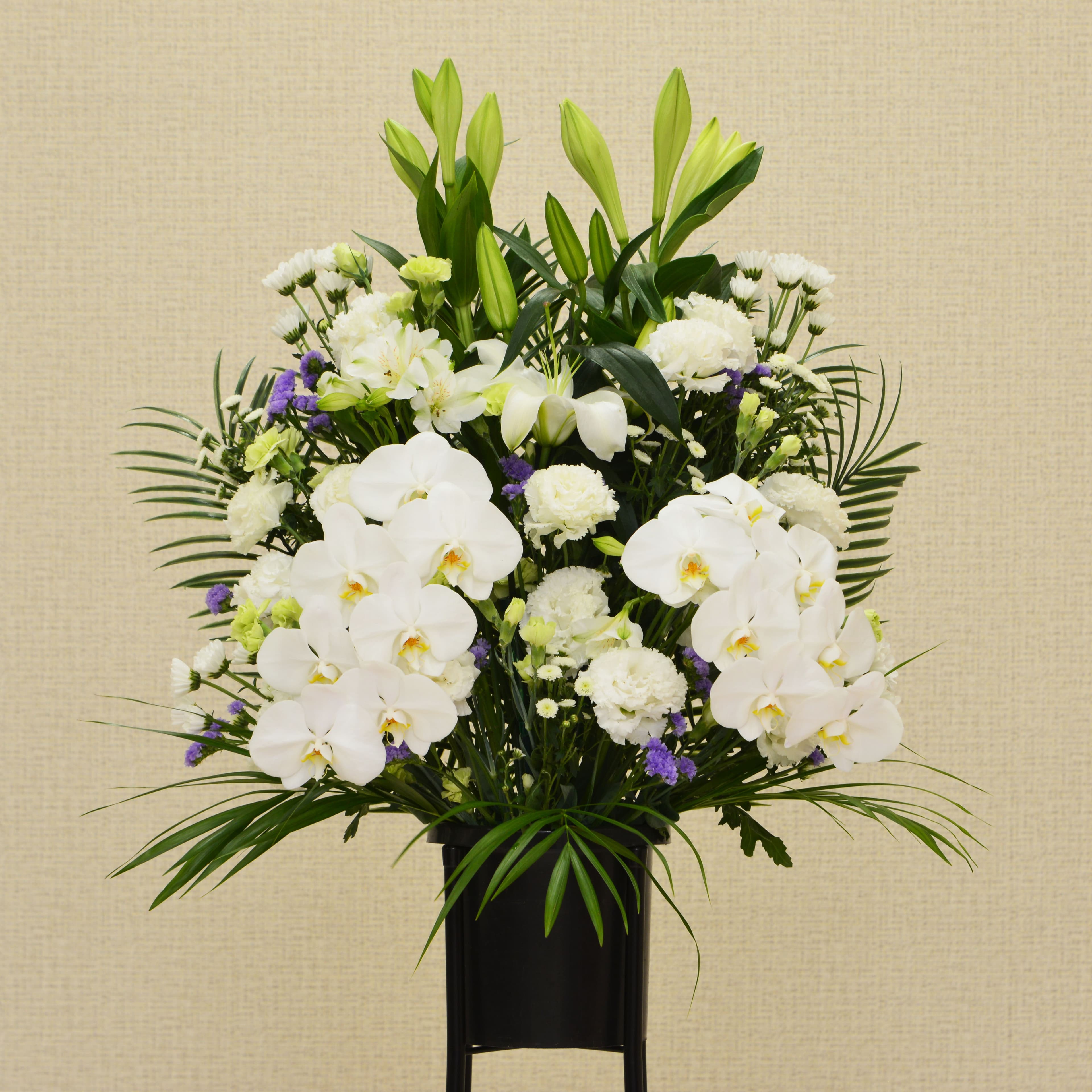 生花C