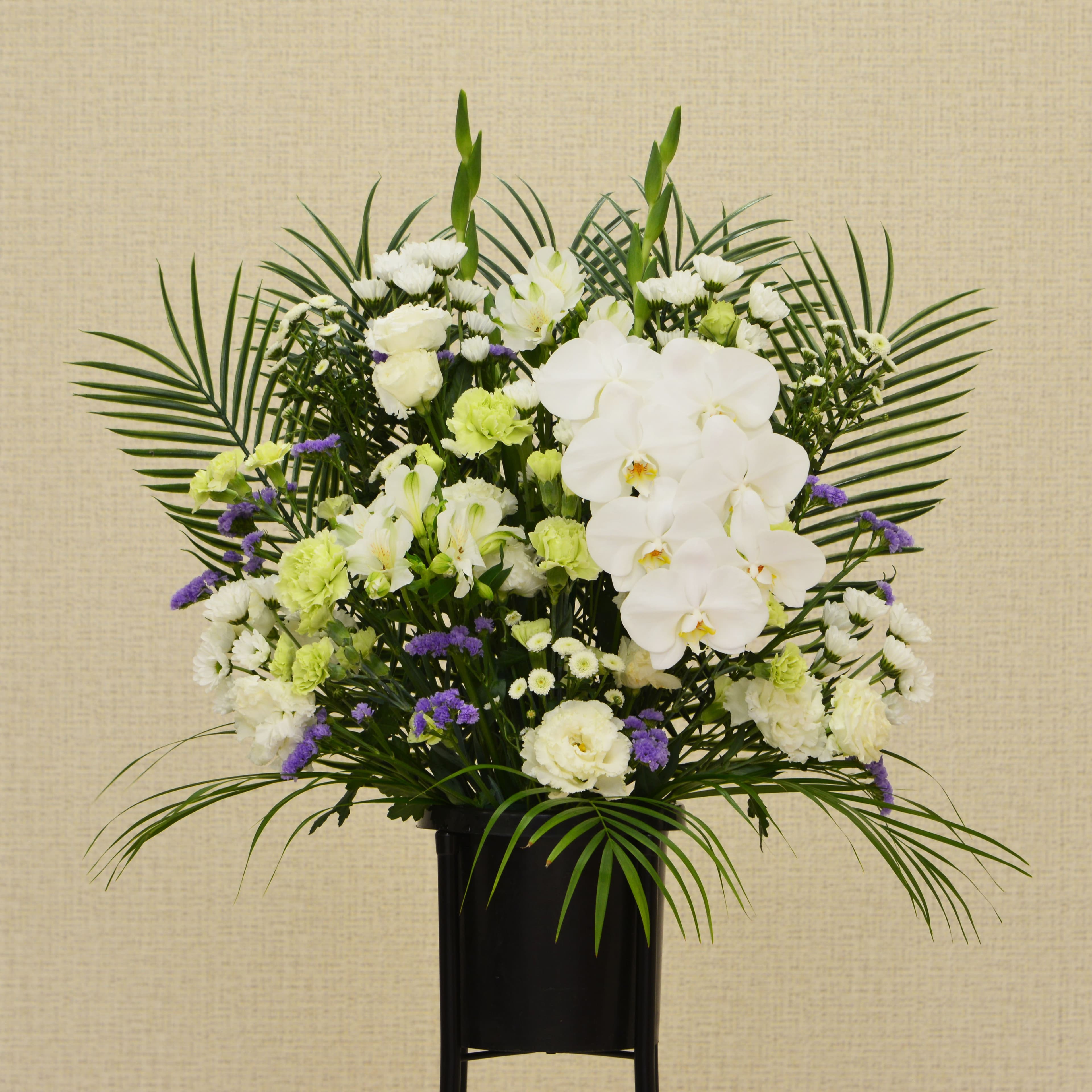 生花D