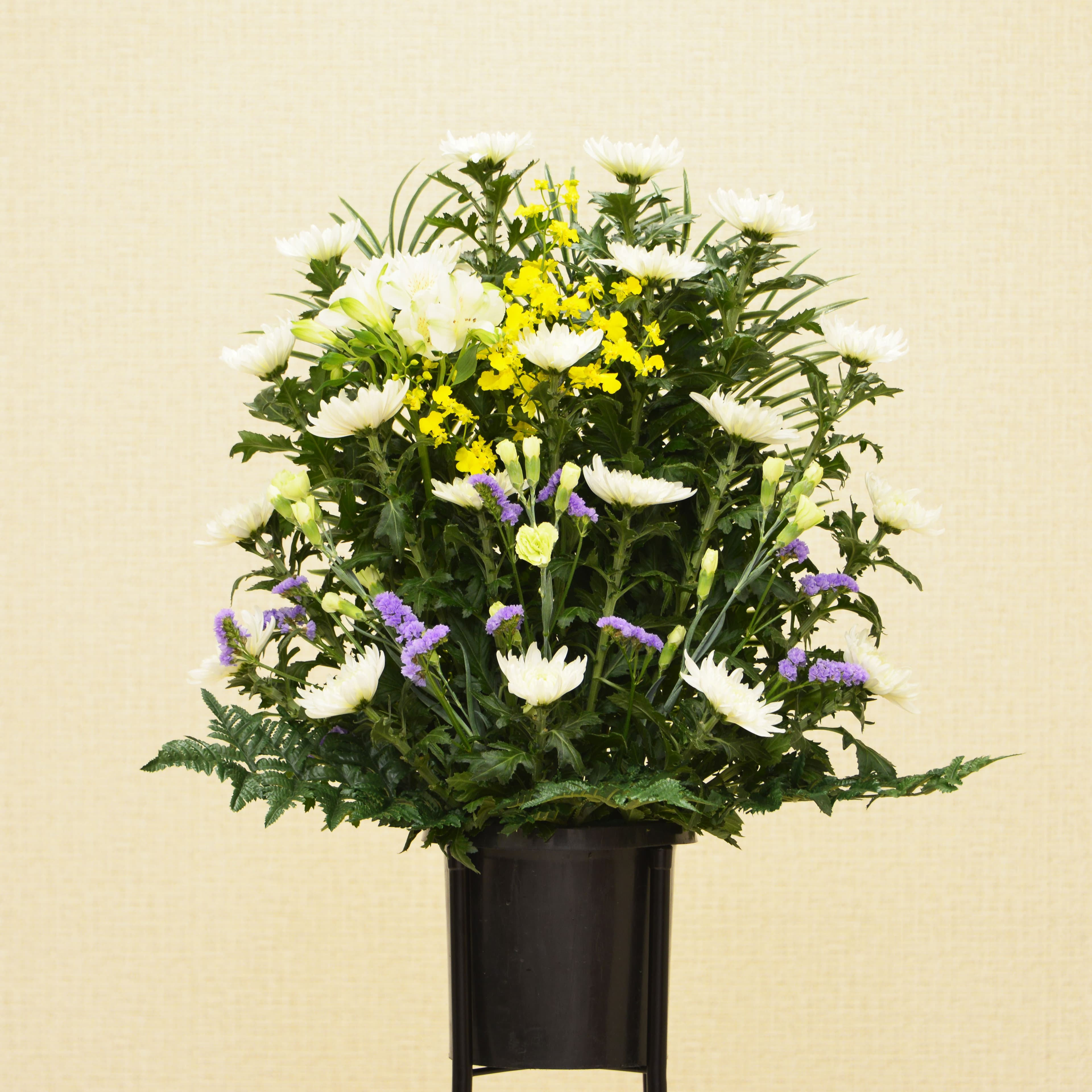 生花E