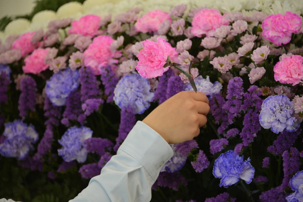供花にカーネーションを添える様子